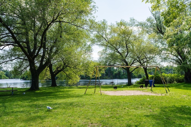 Un columpio en las islas de Toronto Centre Island Park Toronto, Ontario, Canadá