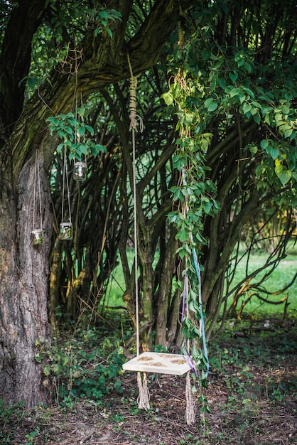 Columpio de madera colgando del árbol