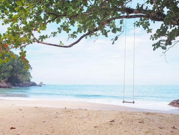 Columpio de madera colgando bajo un gran árbol en la playa