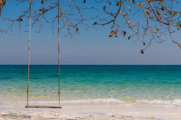 Columpio de madera en la playa con árbol