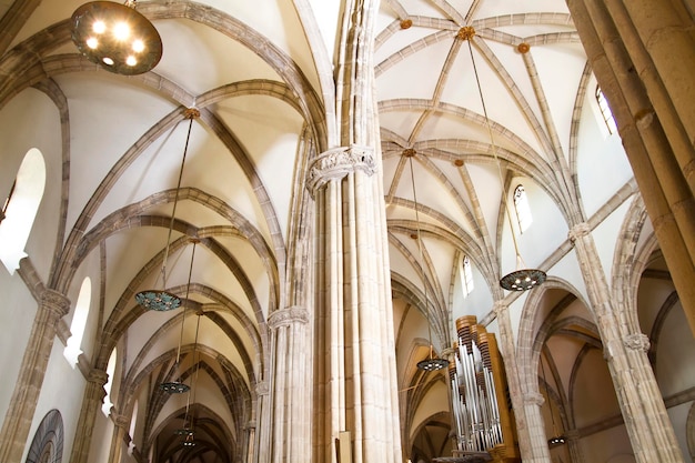 Colunas dentro da majestosa catedral, Espanha