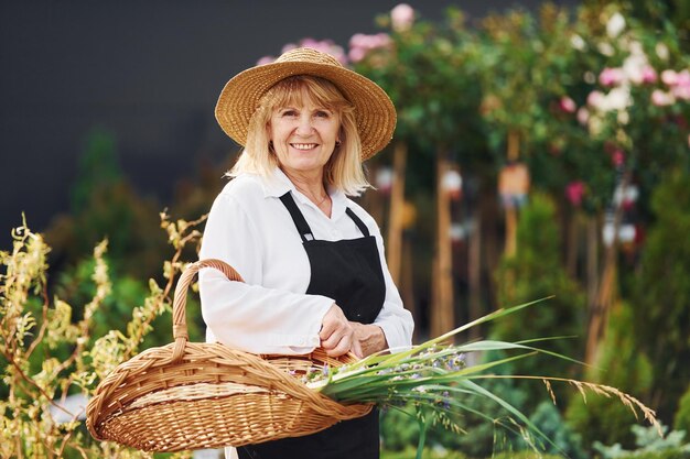 Com cesta nas mãos Mulher sênior está no jardim durante o dia Concepção de plantas e estações