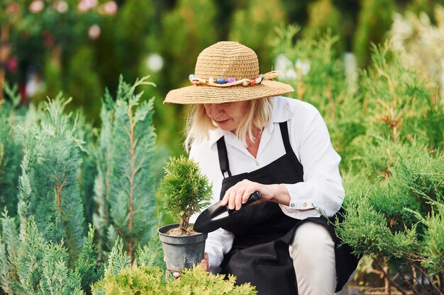 Com pote nas mãos Mulher sênior de chapéu grande está no jardim durante o dia Concepção de plantas e estações