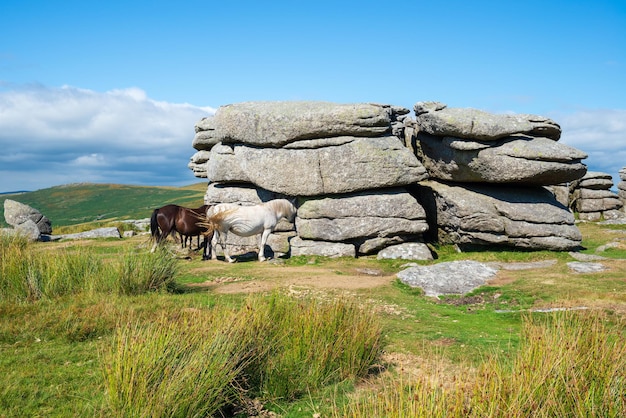 Combestone Tor en Devon