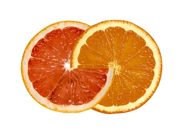 Combinação de fatias de laranja de toranja. fundo isolado