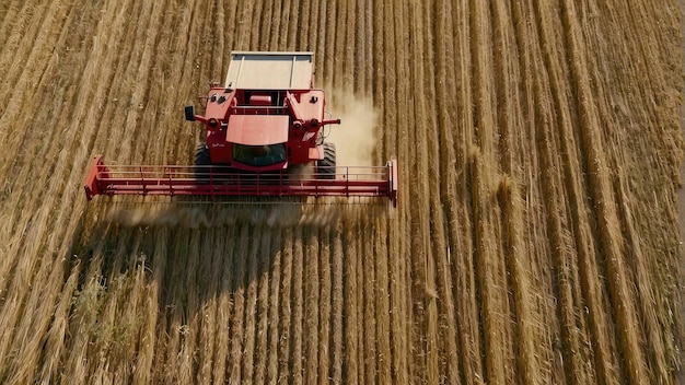 Combinadora trabalhando em um campo de trigo