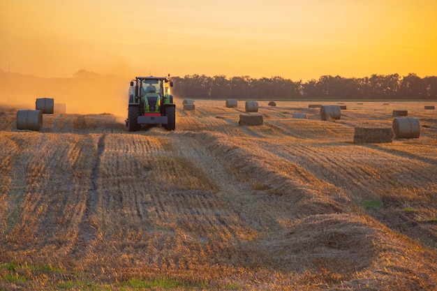 Foto combinar la cosechadora presionando la paja del campo en balas conduciendo el campo en el campo soleado de la noche de verano