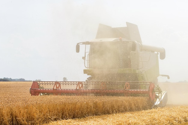 Combine a colheita de um campo de trigo. Combine o trabalho no campo.