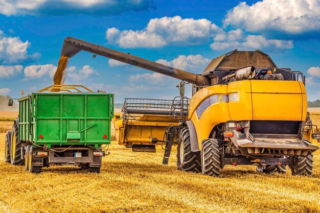 Foto combine la cosechadora descargando el grano en el tractor en el campo de trigo agrícola