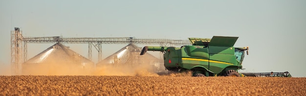 Combine o foco seletivo do céu azul do campo de trigo do elevador de grãos