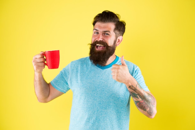 Começando o dia com uma boa bebida bom café da manhã Equilíbrio hídrico e cuidados com a saúde Homem barbudo desfruta da rotina matinal gole de inspiração bebida quente homem caneca estilo casual bebida chá