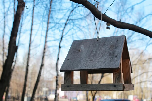 Comedero para pájaros en un árbol