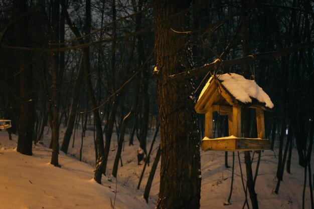 Comedero para pájaros en el bosque nevado Casa de pájaros de madera en el parque de invierno por la noche Concepto de cuidado de animales