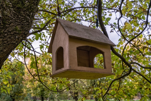 Comedero para pájaros de la casa en un árbol en el parque. La gente trae y vierte granos y nueces para los pájaros.