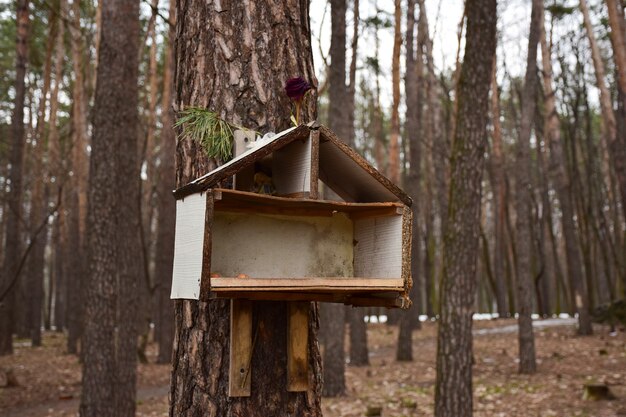 Un comedero para pájaros casero en forma de casa cuelga de un árbol en el parque, el fondo es borroso