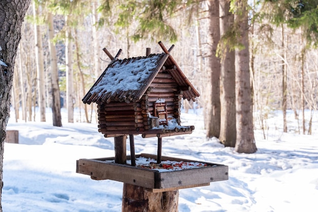 El comedero para pájaros en forma de cabaña hecha de materiales naturales está instalado en un bosque nevado de invierno