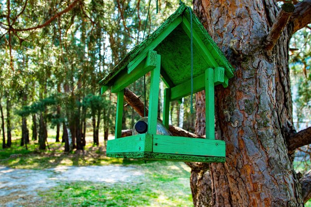 Comedero para pájaros de madera en un árbol en el bosque