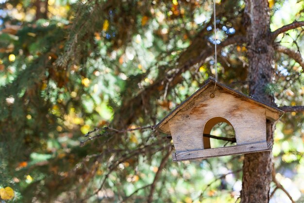 Comedero para pájaros de madera en el bosque en un árbol.