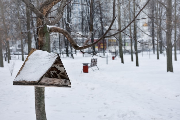 Comedero para pájaros en la nieve en el parque de invierno