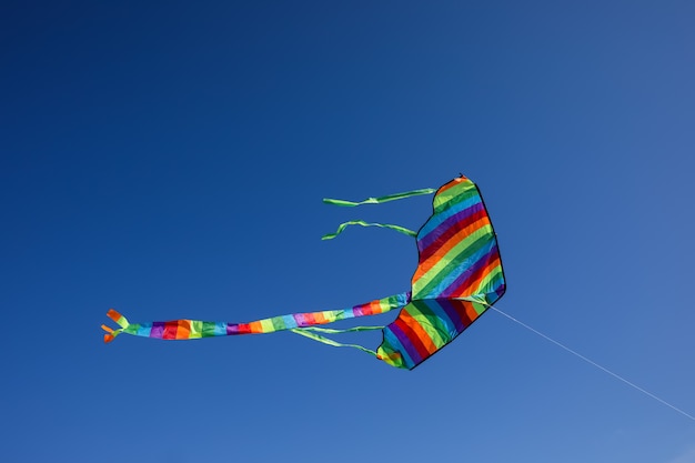 Cometa colorida volando en el cielo azul