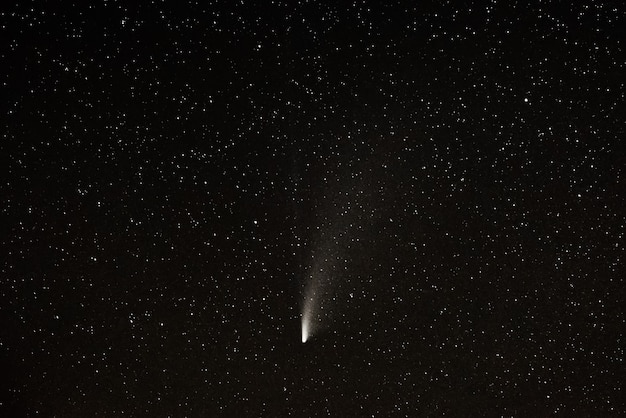 Cometa neowise c / 2020 f3 (neowise) no céu estrelado