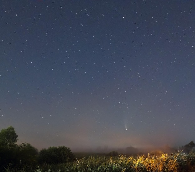Cometa Neowise C2020 F3 enquanto voa no céu de verão sobre o prado perto da estrada rural Região de Lviv Ucrânia