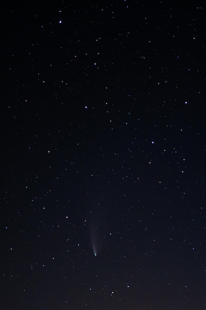 Cometa Neowise no céu noturno estrelado preto