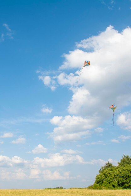 Cometa de viento volando en el cielo azul de verano