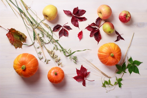 Comida de acción de gracias con calabazas, manzanas, trigo, avena y hojas de otoño