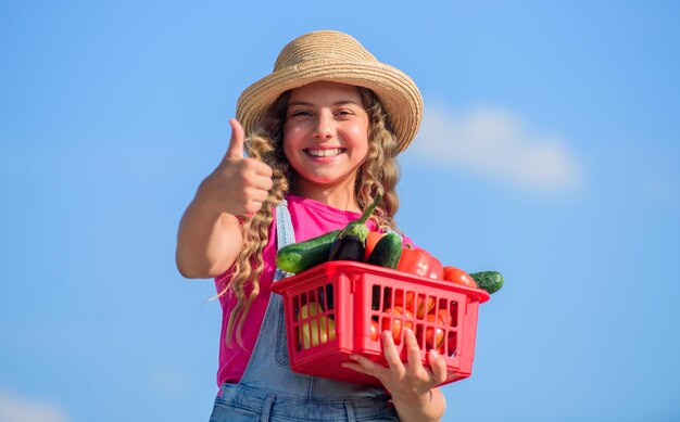 Comida alternativa fazenda de verão para crianças Comida orgânica menininha vegetal na cesta Apenas comida natural e saudável para crianças feliz pequeno fazendeiro colheita de outono colheita de vitamina jardim de mercado de primavera