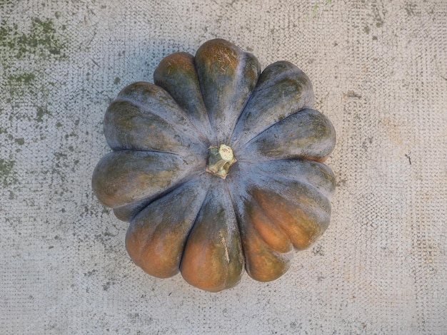 Comida com vegetais de abóbora