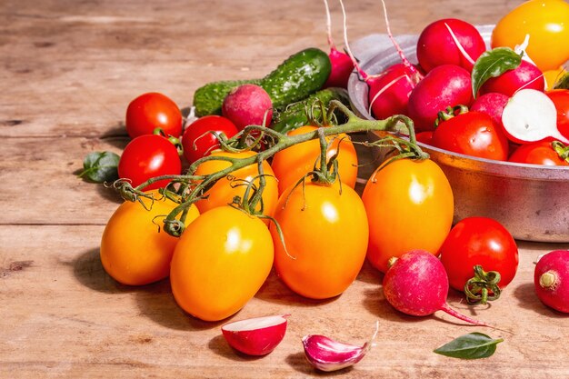 Comida, cosecha, concepto de verano. Surtido de tomates maduros orgánicos rojos y amarillos, pepinos, rábanos, ajo y hojas frescas de albahaca. Mesa de madera antigua, lugar para texto