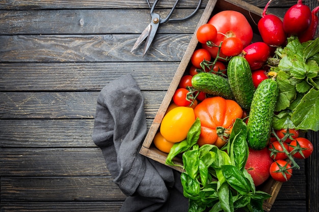 Comida, cosecha, concepto de verano. Surtido de tomates rojos maduros de agricultores orgánicos, pepinos, rábanos y albahaca en una mesa de madera