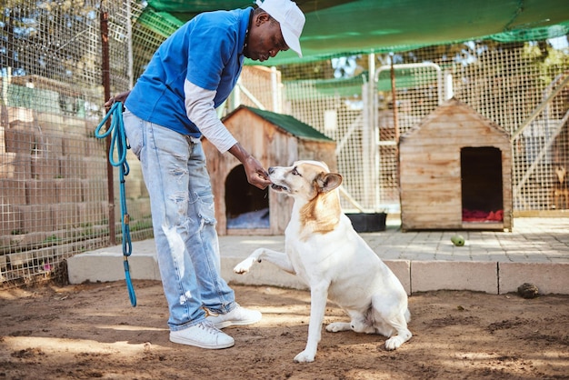 Comida de cachorro e treinamento para adoção de animais com trabalhador negro profissional em abrigo para resgate e animais de estimação perdidos Aprendizagem do treinador e recompensa pela boa disciplina de animal de estimação sem-teto no centro de voluntários