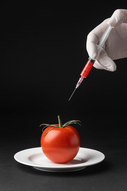 Foto comida de ciência ogm de tomate
