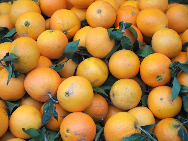 Comida de frutas laranja