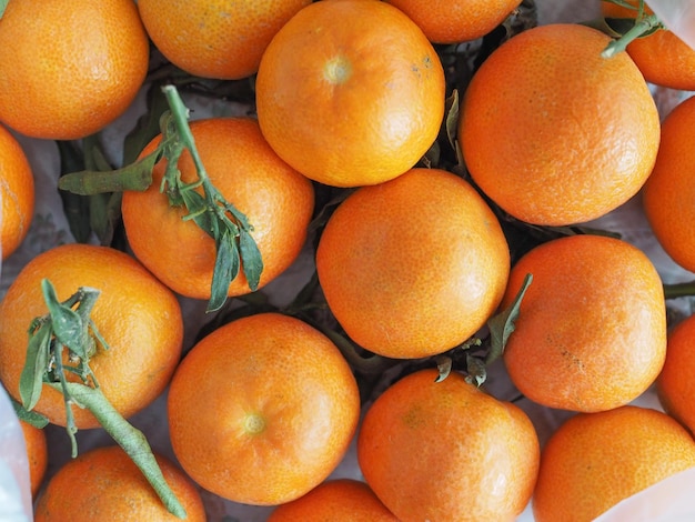 Comida de frutas tangerina