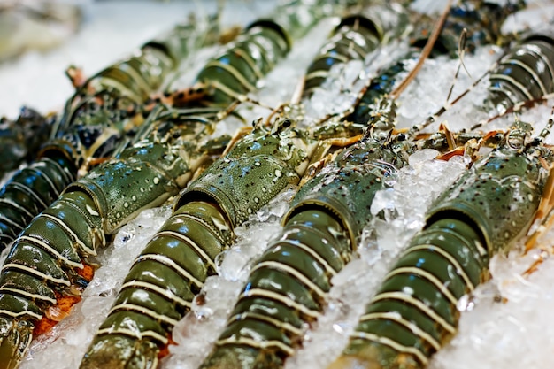 Comida de rua em close-up de lagostas espinhosas da ásia