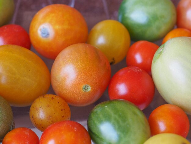 Comida de tomate e vegetais