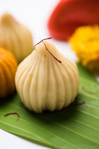 Comida doce Modak oferecida enquanto Ganapati pooja ou Ganesh puja