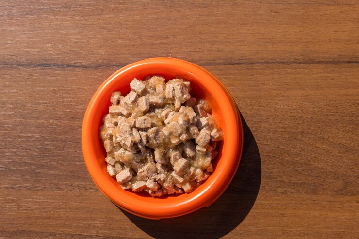 Foto comida enlatada para cães ou gatos em uma tigela de plástico laranja