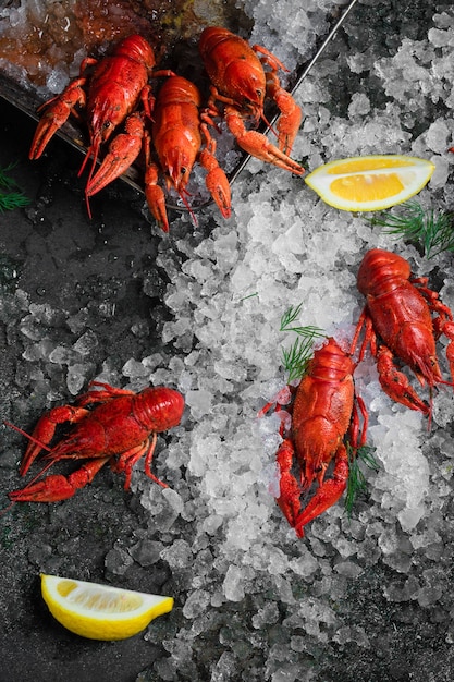 Comida fresca de cangrejos de río sobre un fondo de placa negra. Bocadillo de cangrejo rojo mariscos con hierbas especias limón romero y hielo en el restaurante comida gourmet saludable