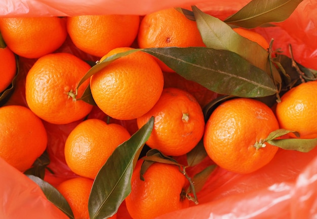 comida de fruta de mandarina