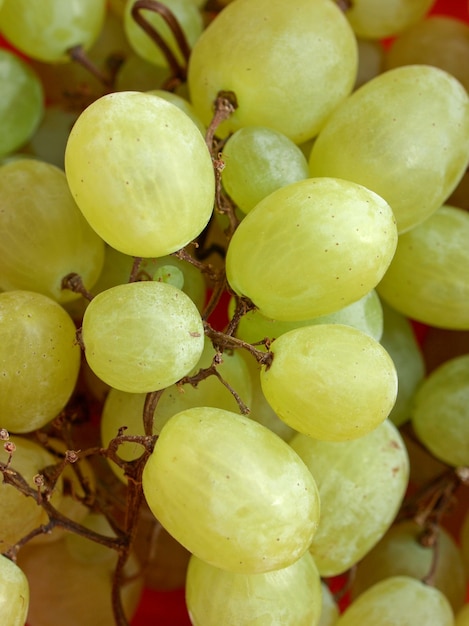 Comida de fruta de uva blanca