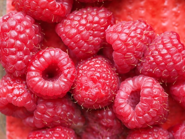 Comida de frutas de frambuesa