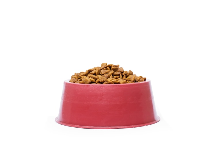 Comida para gatos en un recipiente rojo sobre un fondo blanco.