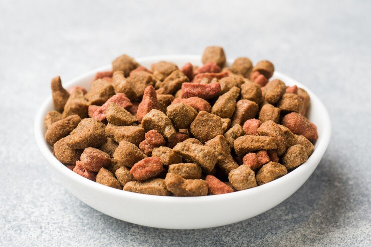 comida para gatos en un tazón