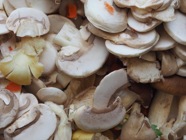 Comida de hongos champiñón