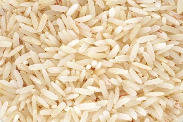 comida orgánica de arroz de grano blanco