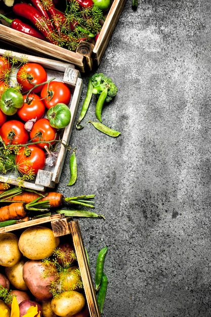 Comida orgânica. Colheita fresca de vegetais em caixas. Sobre um fundo rústico.